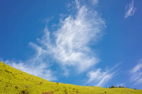 Зеленые луга под голубым небом — стоковое фото