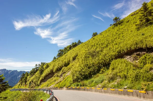 Mavi gökyüzü altında yeşil otlak ile yol — Stok fotoğraf