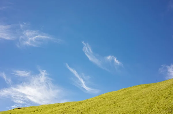 Зеленые луга под голубым небом — стоковое фото