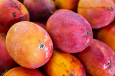 mango meyve kırmızı yığınları