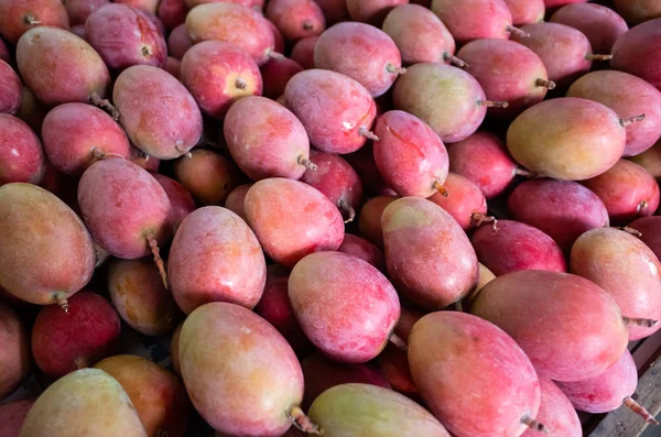 Rote Stapel von Mangofrüchten — Stockfoto