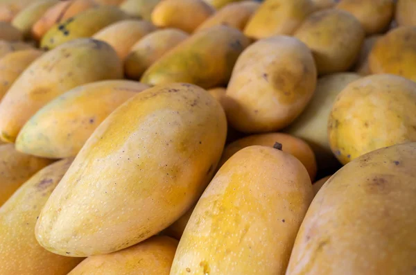 Yellow stacks of mango fruits — Stock Photo, Image