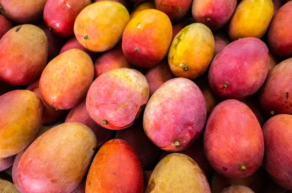 Red stacks of mango fruits — Stock Photo, Image
