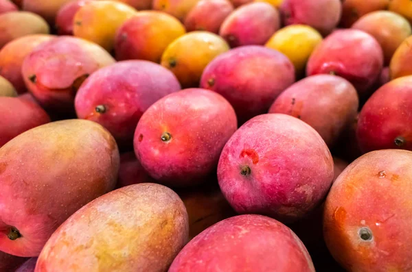 Rote Stapel von Mangofrüchten — Stockfoto