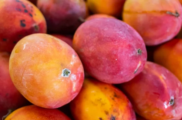 Pilhas vermelhas de frutas de manga — Fotografia de Stock