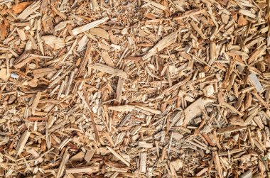 ağaç ve kereste talaş