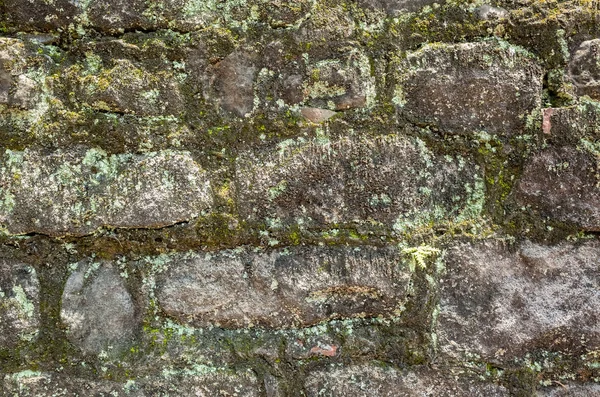 Moisture aged cement brick wall background — Stock Photo, Image