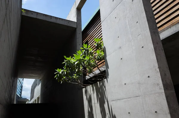 Yuhsiu Müzesi Sanat ünlü Landmark bina