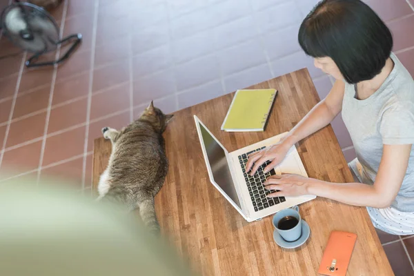 Working at home with her cat — Stock Photo, Image