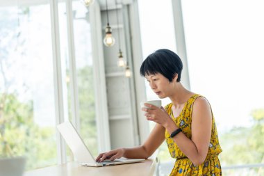 Asyalı kadın çalışma ve dizüstü bilgisayar kullanma