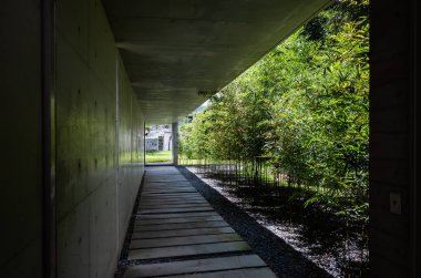 Yuhsiu Müzesi Sanat bambu ağacı ile koridor