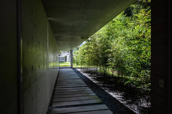 Couloir avec bambou dans Yuhsiu Musée Art — Photo