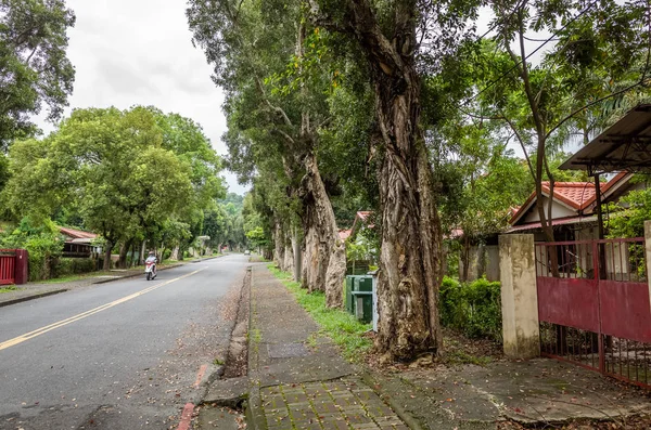 Straat landschap bij Zhongxing New Village — Stockfoto