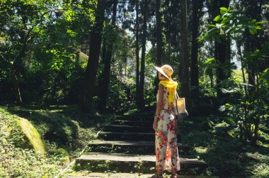 Xitou de ormanda kadın yürüyüş