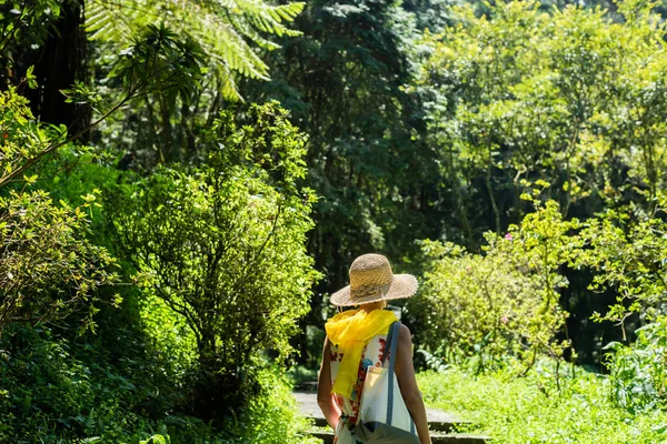 Frau wandert im Wald bei xitou — Stockfoto