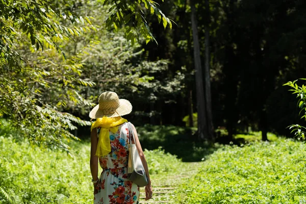 Frau wandert im Wald bei xitou — Stockfoto