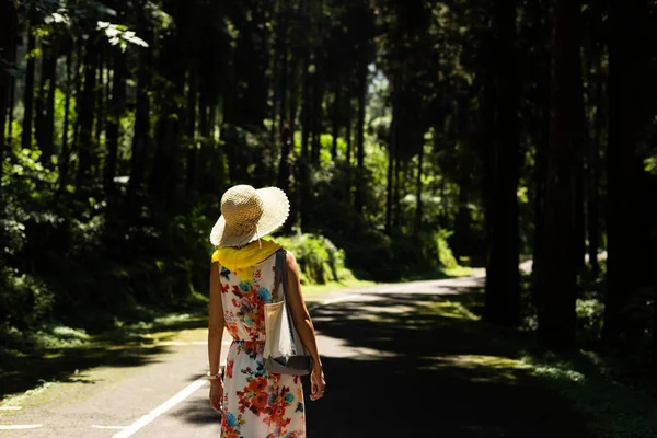 Frau wandert im Wald bei xitou — Stockfoto