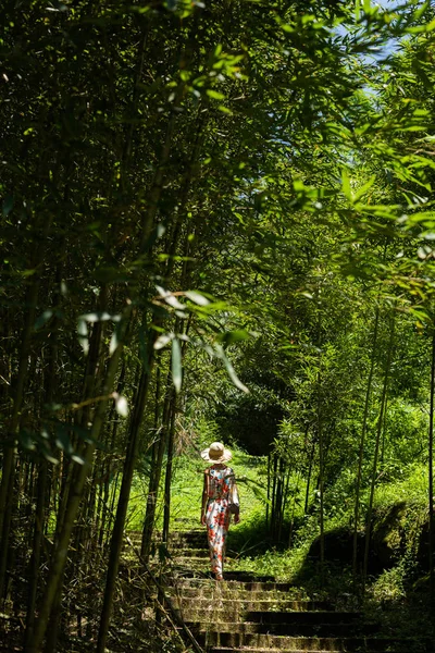 Nő kirándulás az erdőben Xitou — Stock Fotó