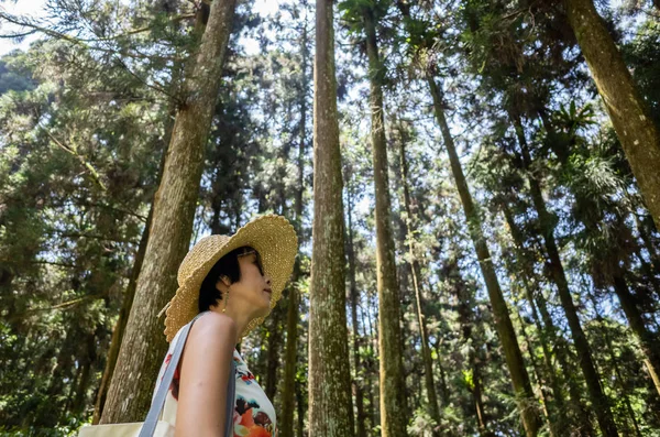 西東の森の中でハイキングする女性 — ストック写真