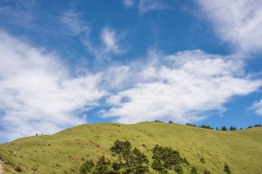 mavi gökyüzü altında yeşil otlak