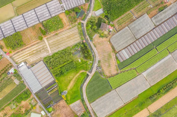 Vue aérienne du canton de Puli — Photo