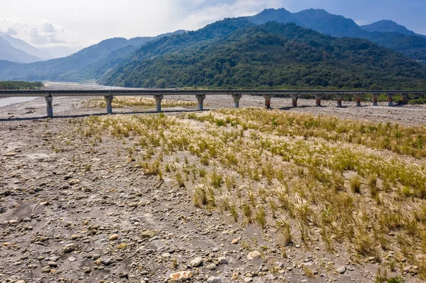 Ponte sul fiume con miscanthus dorato — Foto Stock