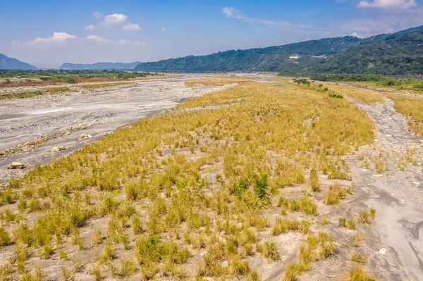 Landschap van gouden miscanthus met berg — Stockfoto