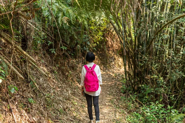 Mujer viajera caminar en el bosque — Foto de Stock