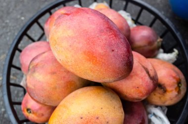 geleneksel pazarda bir sepet içinde mango meyve