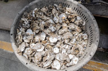 bir sepet üzerinde istiridye kabuğu yığınları