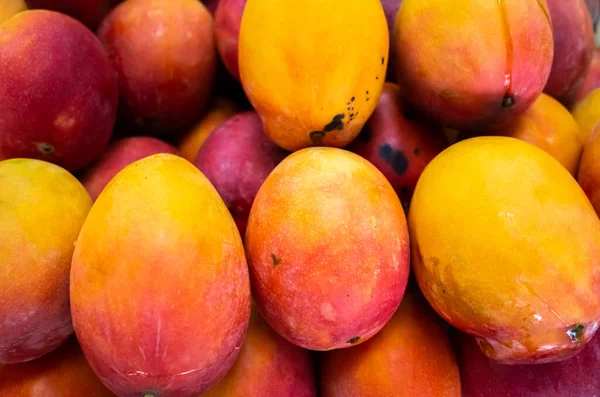 Rote Stapel von Mangofrüchten — Stockfoto
