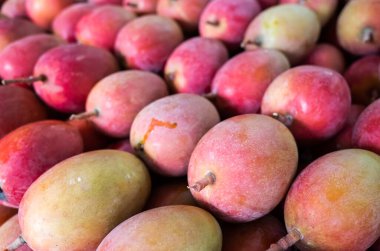 mango meyve kırmızı yığınları