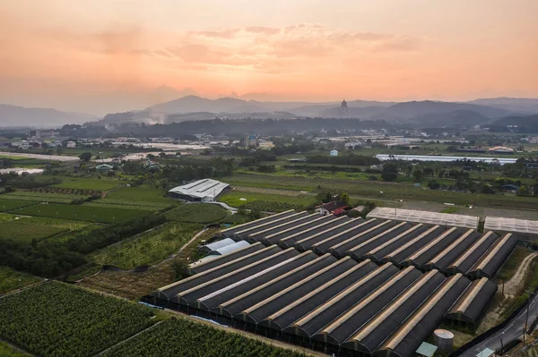 Landscape with farm scenic at Puli township — Stock Photo, Image