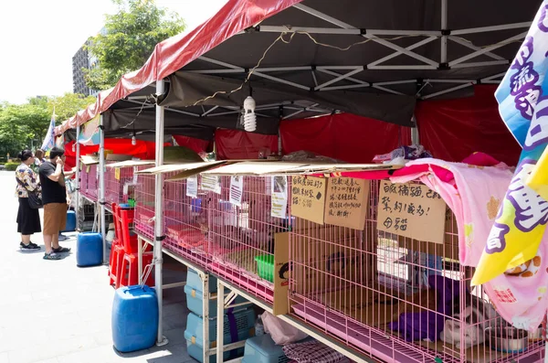 Dieren adoptie organisatie met katten en honden op straat — Stockfoto