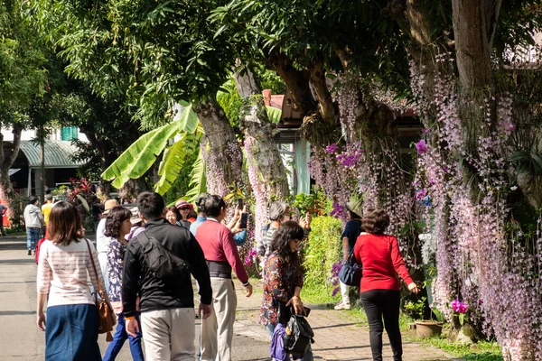 Nantou Taiwan Abril 2020 Flores Dendrobium Rua Com Turistas Zhongxing — Fotografia de Stock