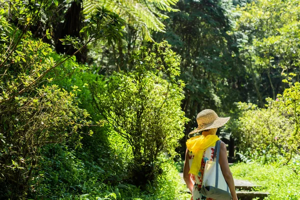 Viajando Mujer Asiática Senderismo Bosque Xitou Nantou Taiwán — Foto de Stock