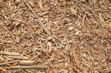 Çatlak ahşap ve yerde kereste talaşı.