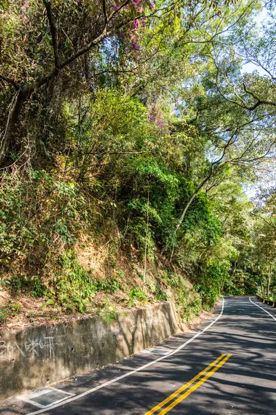 Estrada Curval Sob Árvore Cidade Com Ninguém — Fotografia de Stock