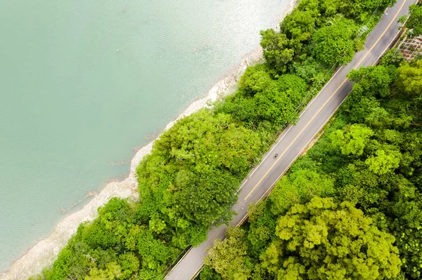 Mingtan Reservoir Shuili Kasabası Nantou Tayvan Daki Göl Kenarındaki Ağaçların — Stok fotoğraf