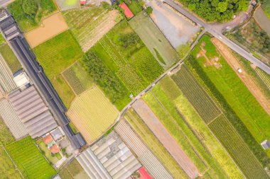 Puli kasabasının tarlası ve çiftliği havadan görünüyor.
