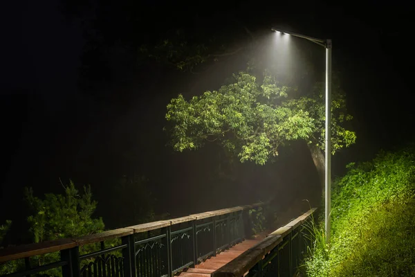 Straatlantaarn Ochtendmist Bij Houten Trap — Stockfoto