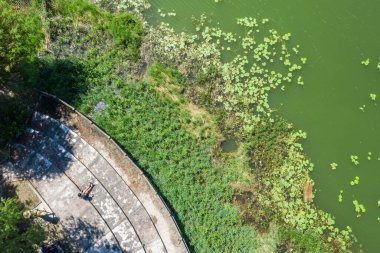 Asyalı kadının hava görüntüsü açık havada yerde oturuyor.