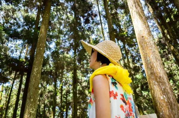 Reizen Aziatische Vrouw Wandelen Het Bos Bij Xitou Nantou Taiwan — Stockfoto