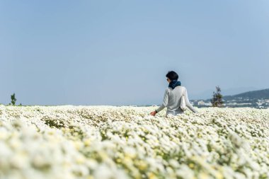 Modern Asyalı kadın beyaz kasımpatı çiftliğinde duruyor.