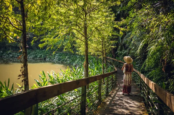 Vista Posteriore Viaggiare Donna Asiatica Piedi Presso Corsia Nella Foresta — Foto Stock