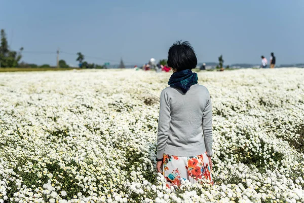 Moderne Aziatische Vrouw Staan Witte Chrysant Boerderij — Stockfoto