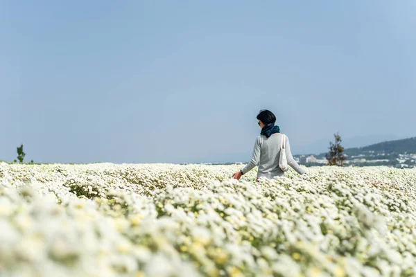 Modern Asyalı kadın beyaz kasımpatı çiftliğinde duruyor.