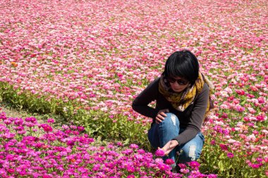Modern Asyalı kadın renkli kozmo çiçek çiftliğinde