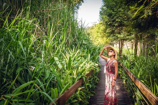 Rear View Traveling Asian Woman Walk Lane Forest — Stock Photo, Image