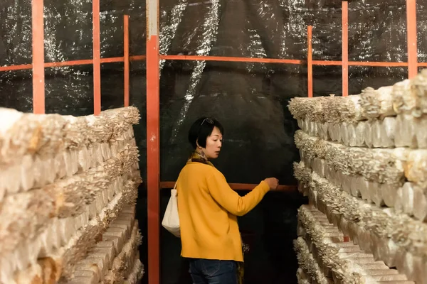 台湾普雷镇成熟的亚洲妇女旅行参观蘑菇农场 — 图库照片